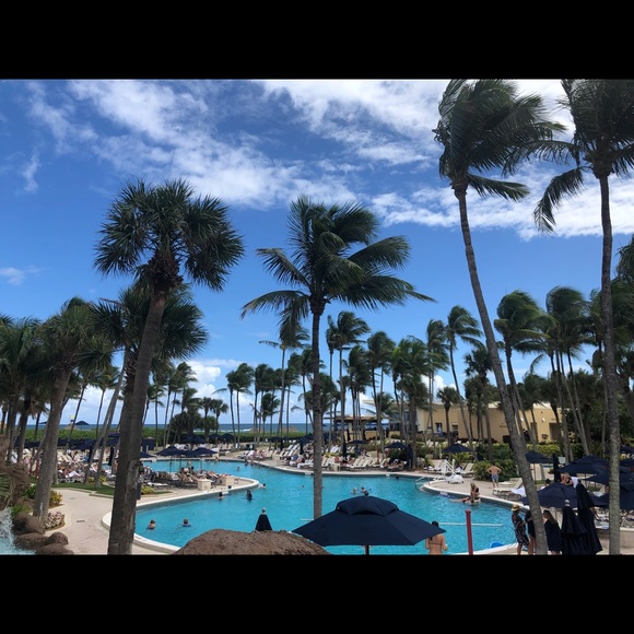 Meet your Posher, Carolyn - Picture 1 of 1